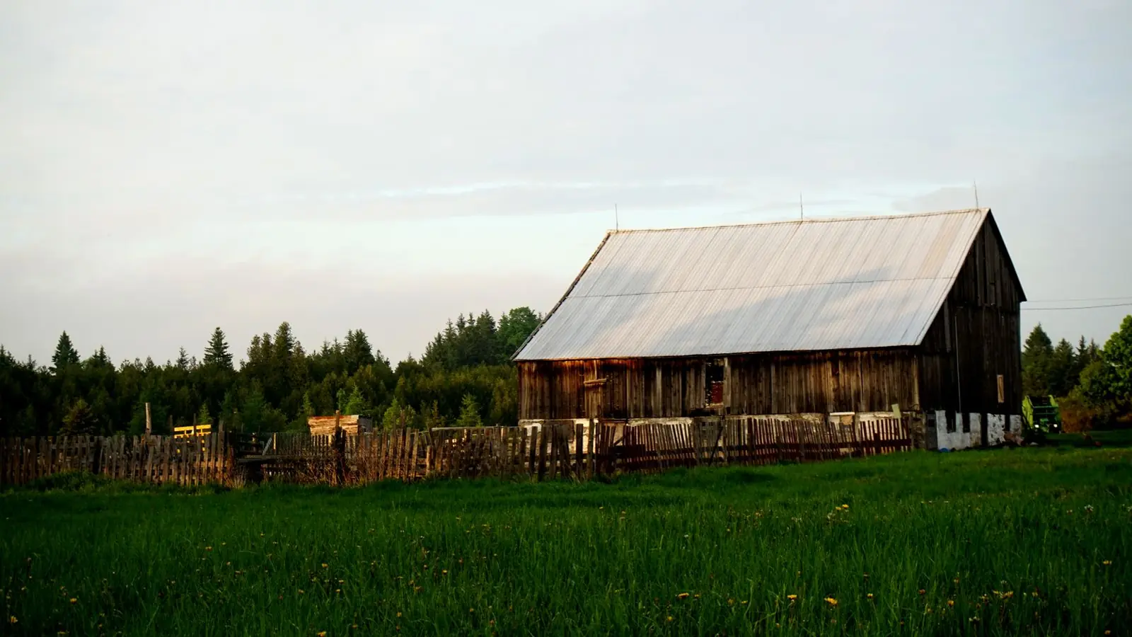 A weathered timber barn with a tin roof beside a meadow in evening light