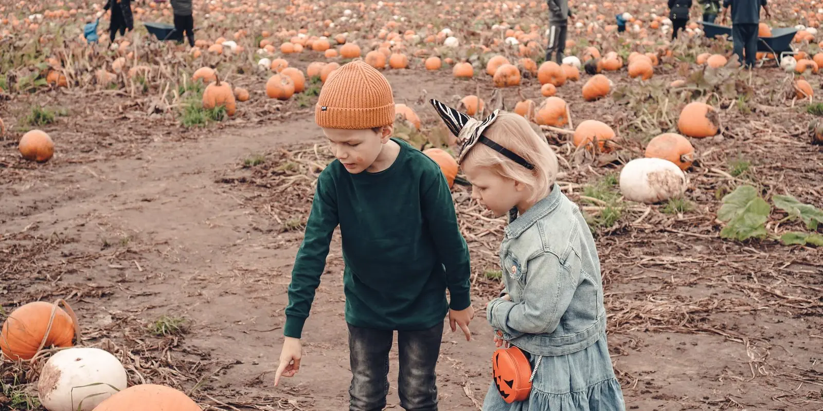 Two children choosing pumpkins in a muddy pumpkin field