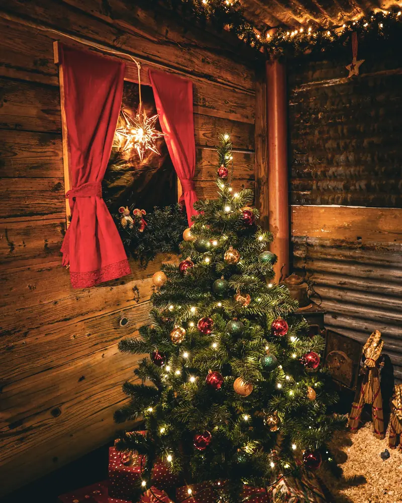 A lit Christmas tree and wrapped presents outside a timber cabin with red curtains
